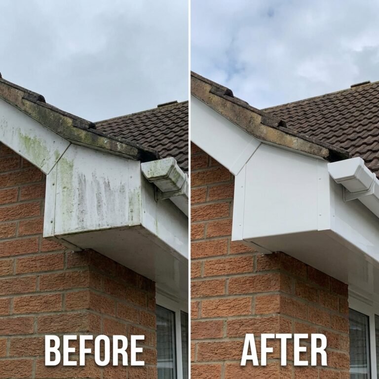 Fascia_cleaning_before_202604131715